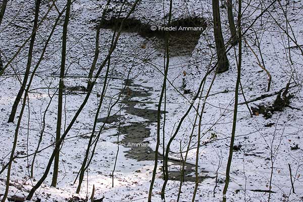 IMPRESSIONEN - Natur 2