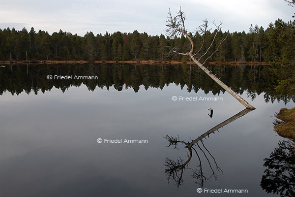 IMPRESSIONEN - Natur 2