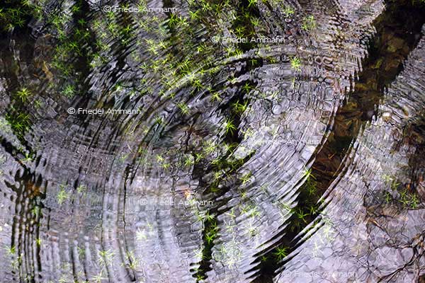 IMPRESSIONEN - Natur 2 - Wasser