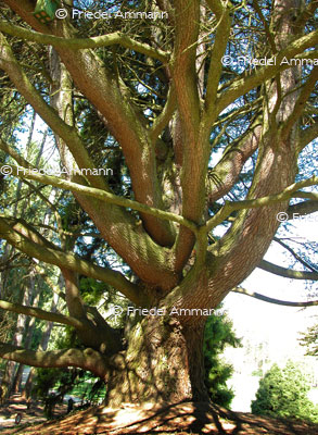 IMPRESSIONEN - Natur 2