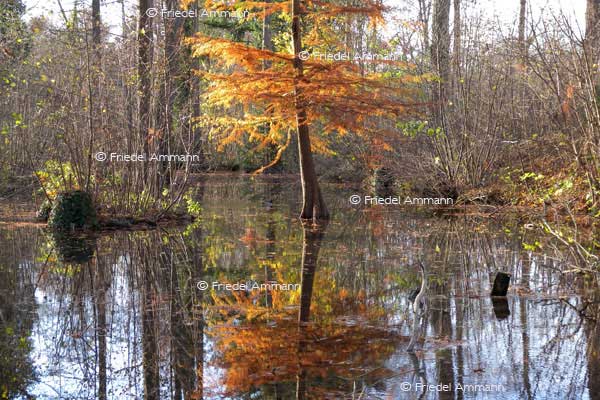 IMPRESSIONEN - Natur 2