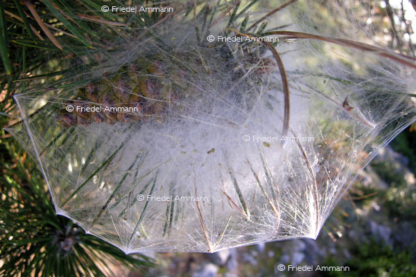 IMPRESSIONEN - Natur 2