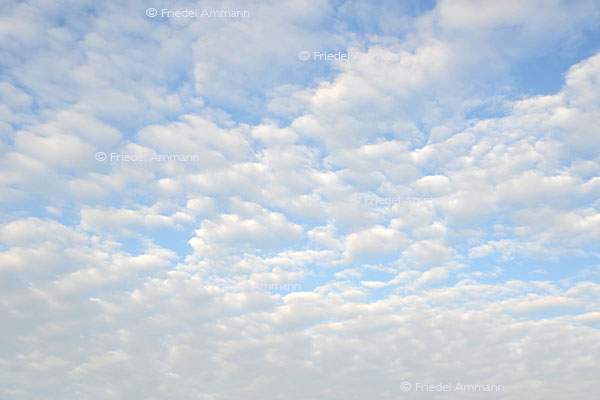 Wetter