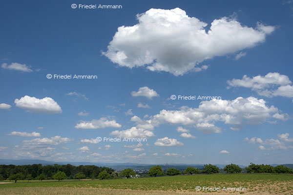 Wetter