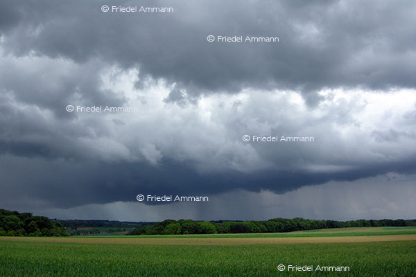 Wetter