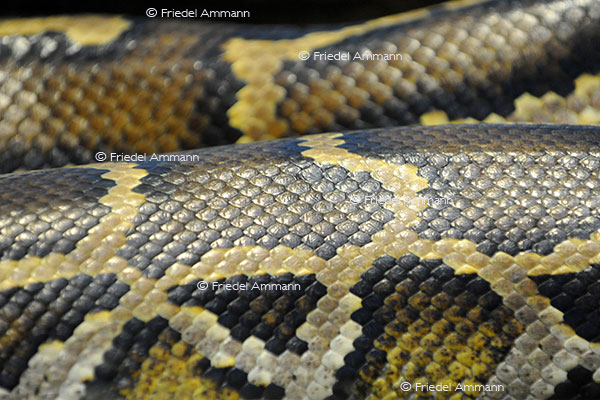 IMPRESSIONEN - Zoologischer Garten Basel / Terrarium