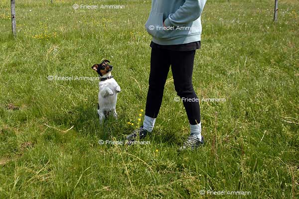IMPRESSIONEN - Tiere 