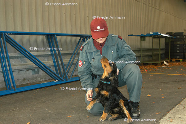 IMPRESSIONEN - Tiere - Drogenspührhund
