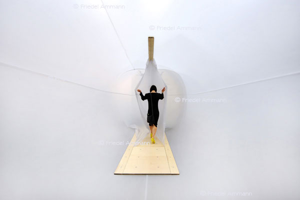 KULTUR - ART Unlimited Basel 41 2010 - Ikurrina Quarter, Sergio Prego - Galeria Soledad Lorenzo, Madrid 