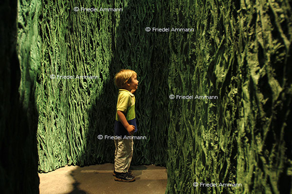 KULTUR - ART Unlimited Basel 37 2006 - Double Vegetation Room, Cristina Iglesias - Marian Goodman Gallery, New York
