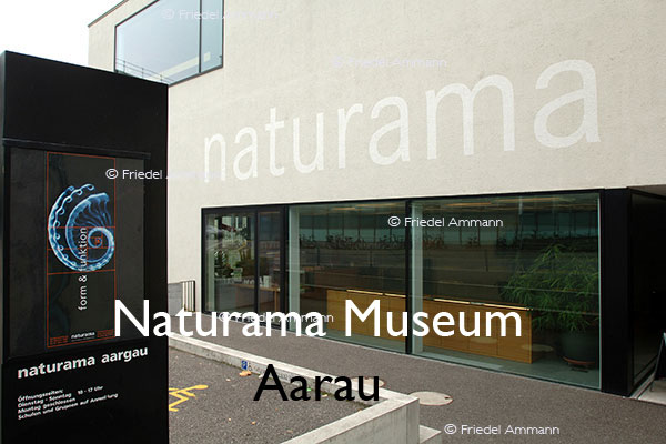 KULTUR – Naturama Museum – Aarau, Schweiz