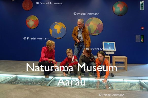 KULTUR – Naturama Museum – Aarau, Schweiz