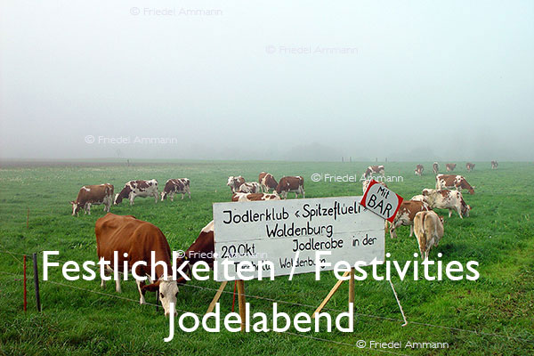 KULTUR - Festlichkeiten / Festivities – Jodelabend, Schweiz