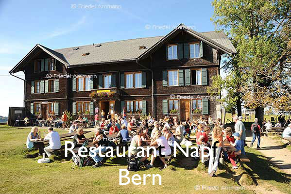 KULTUR – Gastronomie – Restaurant Napf – Bern, Schweiz