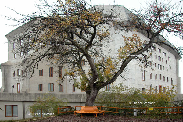 KULTUR - Anthroposophie - Sitzplatz von Rudolf Steiner - Goetheanum – Dornach, Schweiz