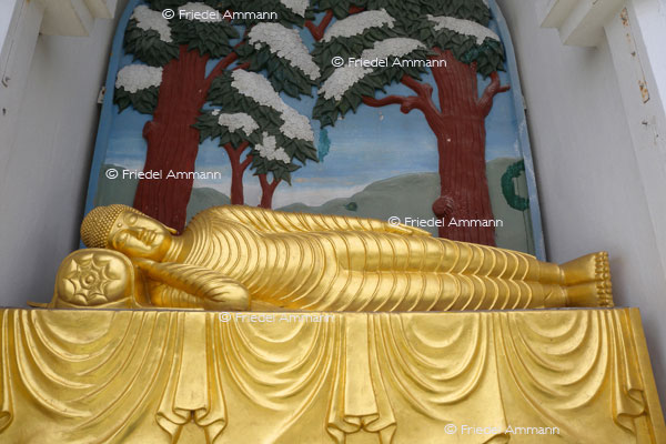 KULTUR – Buddhismus - Buddha Statue