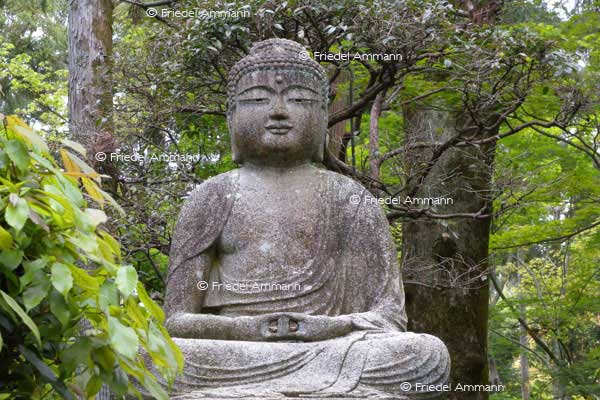 KULTUR – Buddhismus - Buddha Statue at Ryoanji Temple - Kyoto, Japan 