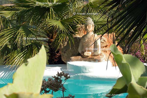 KULTUR – Spiritualität – Buddha 