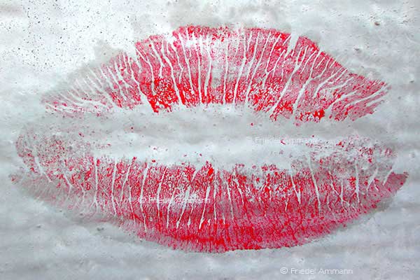 LEBEN - Liebe / Love