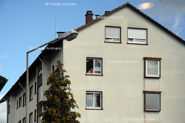 LEBEN - Einsamkeit / Loneliness
