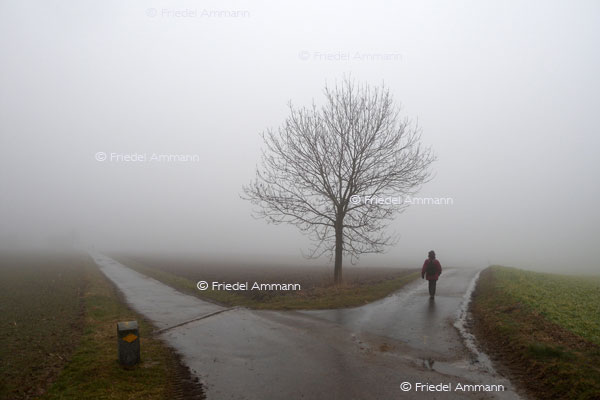 LEBEN - Einsamkeit / Loneliness
