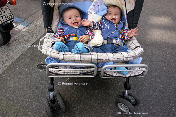 Freude / Joy