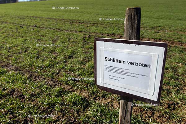 LEBEN - Humor