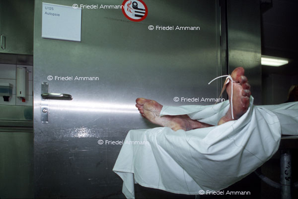 LEBEN - Gewalt / Force - Rechtsmedizin, Autopsie, Forensic medicine