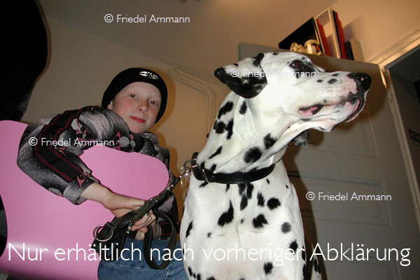 LEBEN - Jugend / Youth 