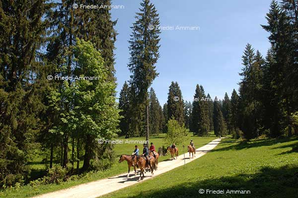 LEBEN - Freizeit / leisure – Jura, Schweiz