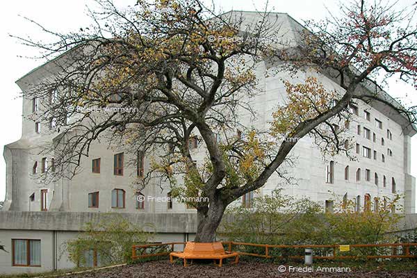 LEBEN - Spiritualität / Religion - Sitzplatz von Rudolf Steiner - Goetheanum – Dornach, Schweiz