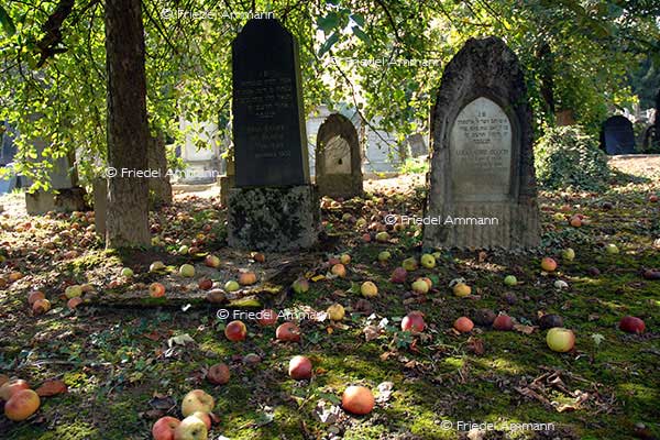 LEBEN - Spiritualität / Religion - Jüdischer Friedhof