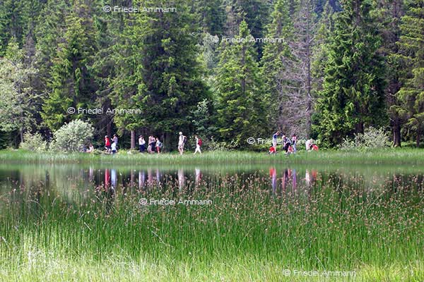 LEBEN – Outdoor - Jura, Schweiz