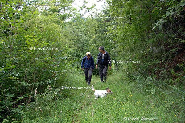LEBEN – Outdoor 
