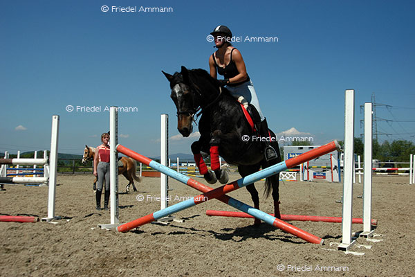 LEBEN – Sport - Springreiten