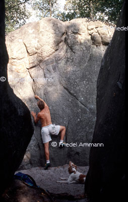 LEBEN – Sport - Klettern / Climbing – Bouldern – Fontainbleau, France