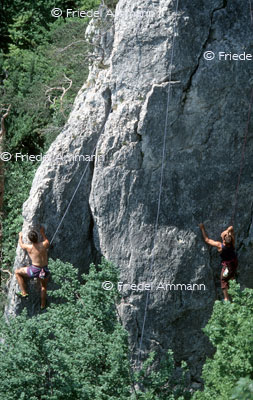 LEBEN – Sport - Klettern / Climbing – Schartenflue, Schweiz