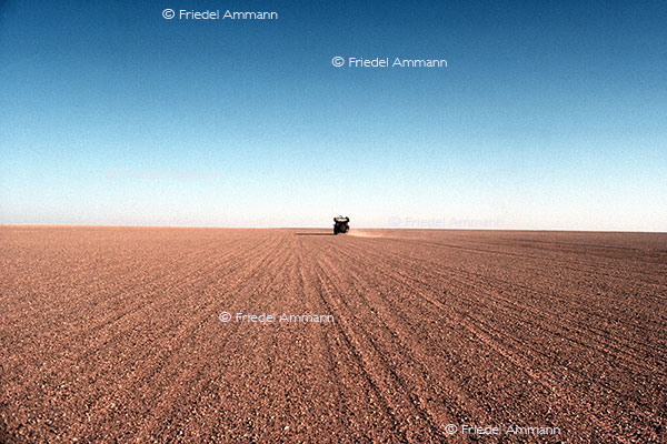 LEBEN - Unterwegs / on the way - Sahara