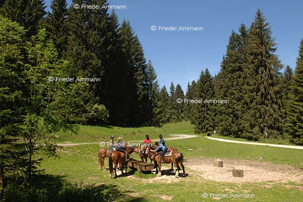 LEBEN - Unterwegs / on the way – Jura, Schweiz