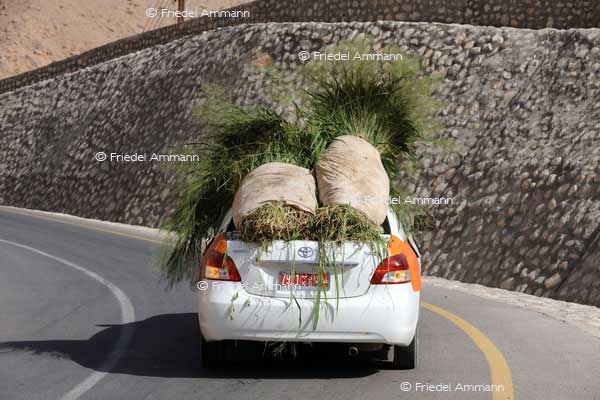 LEBEN - Unterwegs / on the way - Oman