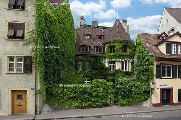 LEBEN – Wohnen – Basel, Schweiz