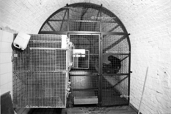 LEBEN - SW Impressionen – Tierversuche Louis Pasteur Institut - Festungsanlage 1. Weltkrieg – Strasbourg, France