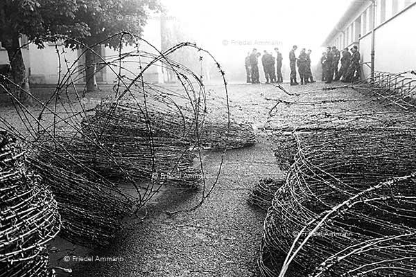 LEBEN - SW Impressionen - Stachelschweiz
