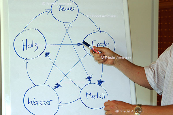 LEBEN - Komplementäre Medizin