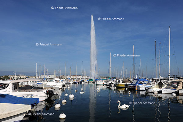 SCHWEIZ - Impressionen 1 - Genf, Genève