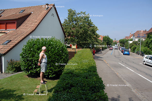 SCHWEIZ - Impressionen 1