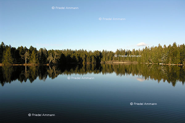 SCHWEIZ - Impressionen 1 - Etang de la gruère