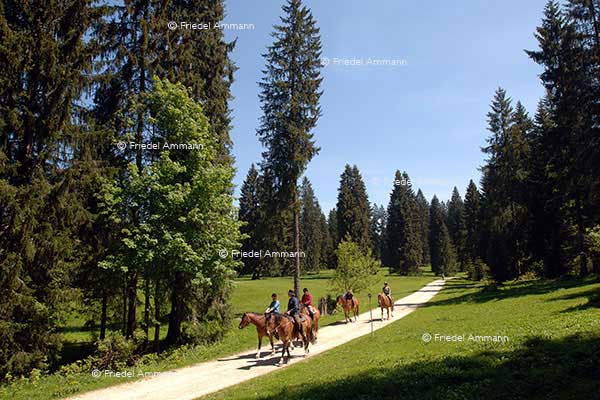 SCHWEIZ - Impressionen 1 - Freiberge, Jura