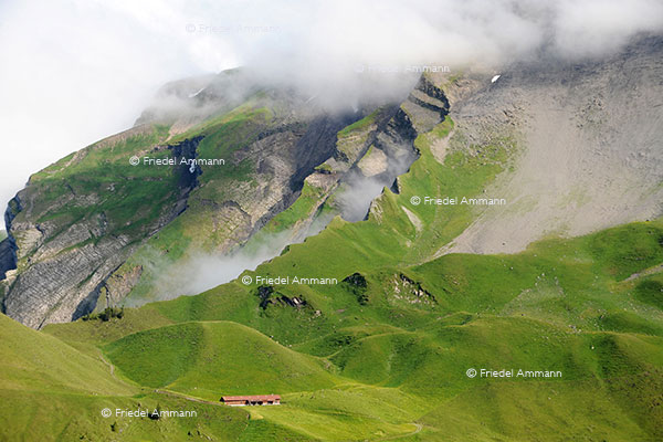 SCHWEIZ - Impressionen 2 - Klewenalp