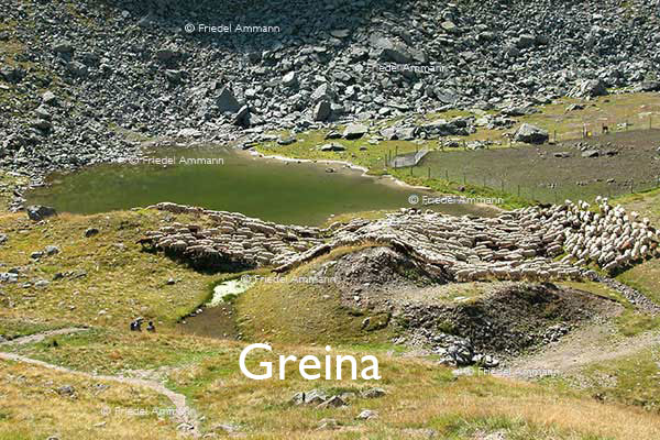 SCHWEIZ - Alpen - Greina – Graubünden, Tessin, Ticino